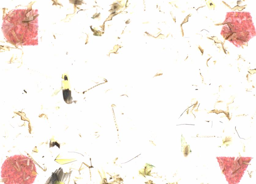 Fullscreen Image