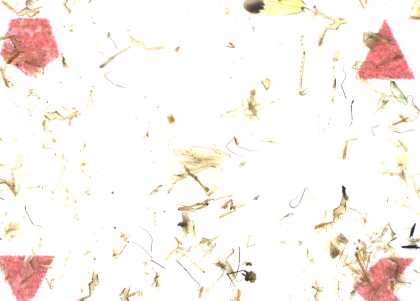 Fullscreen Image