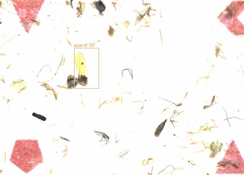 Fullscreen Image