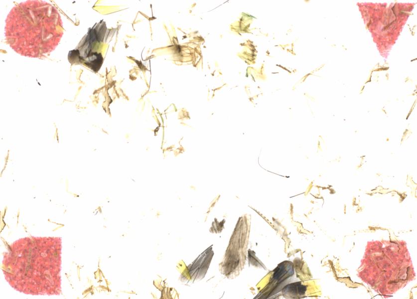 Fullscreen Image