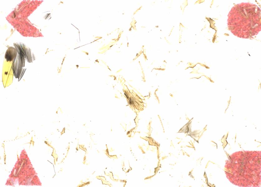 Fullscreen Image