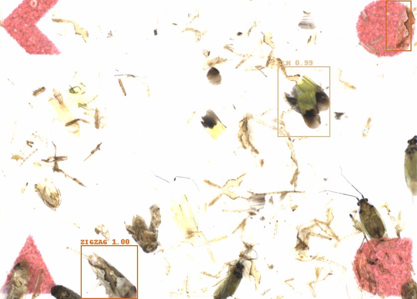 Fullscreen Image