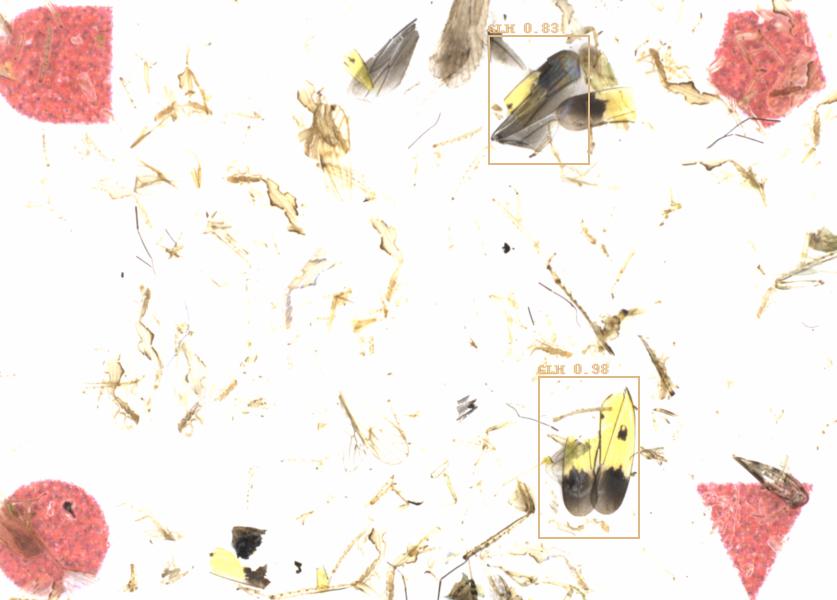 Fullscreen Image