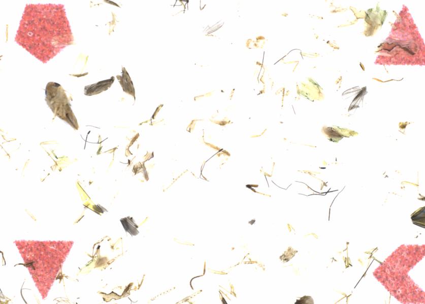 Fullscreen Image