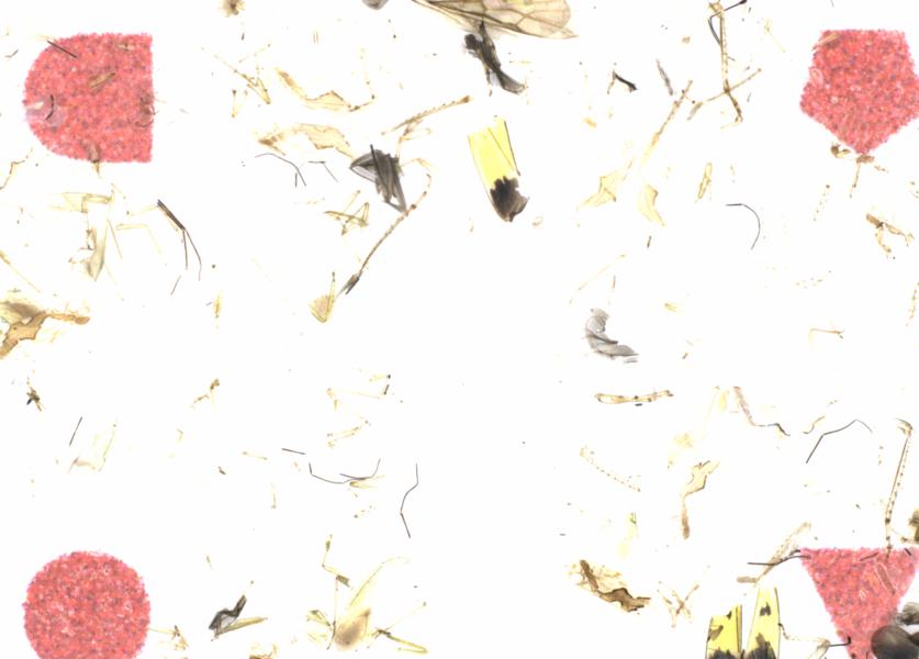 Fullscreen Image