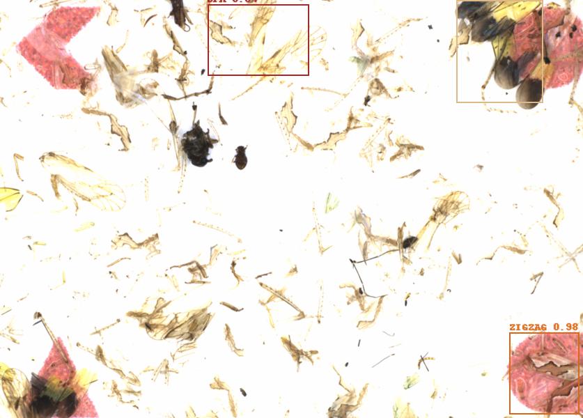 Fullscreen Image