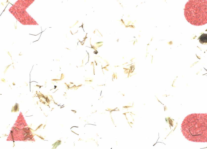 Fullscreen Image