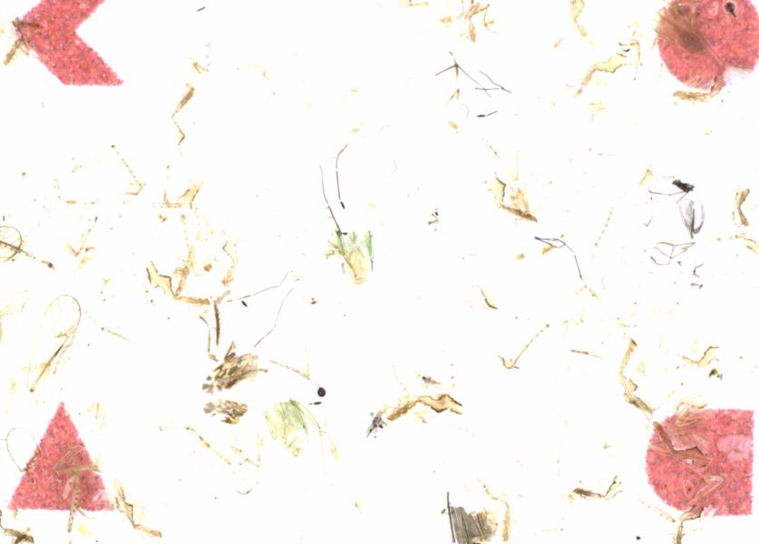 Fullscreen Image