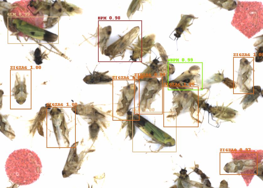 Fullscreen Image