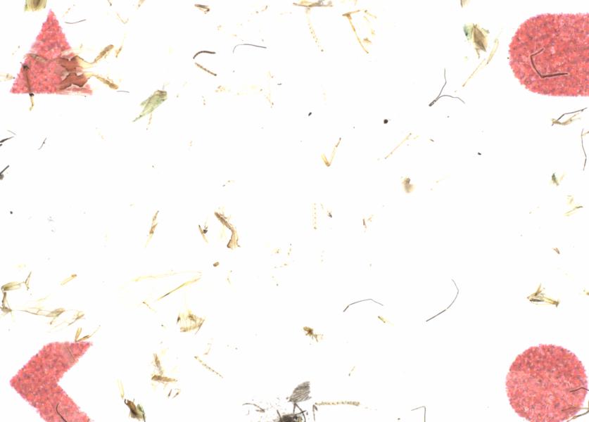 Fullscreen Image