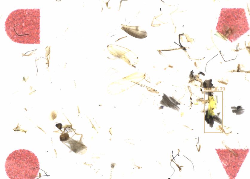 Fullscreen Image