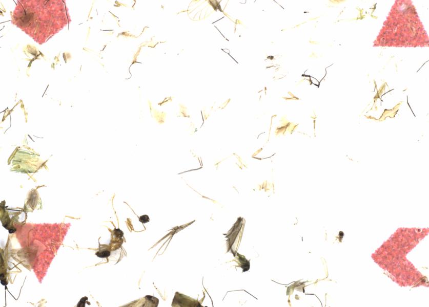 Fullscreen Image