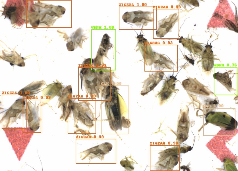 Fullscreen Image
