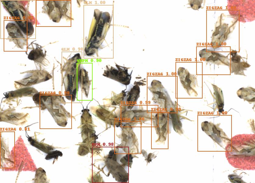 Fullscreen Image