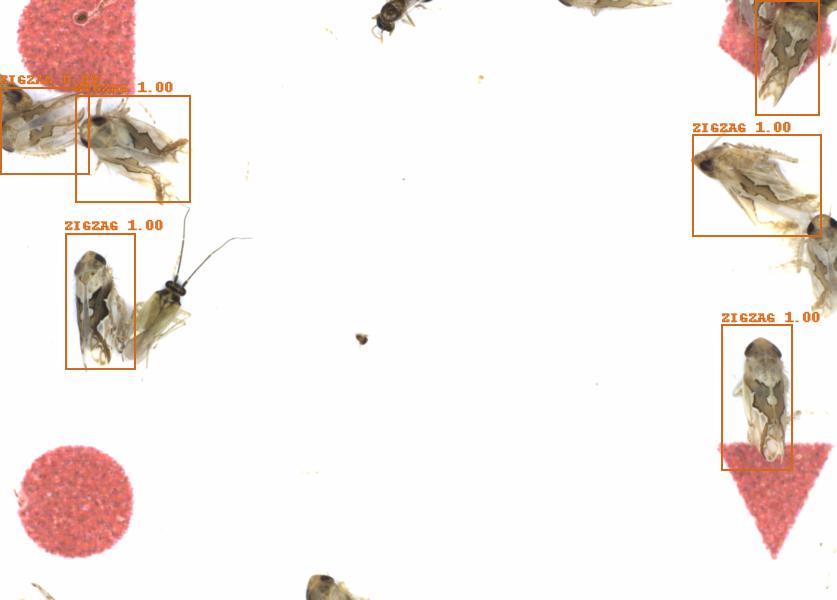Fullscreen Image
