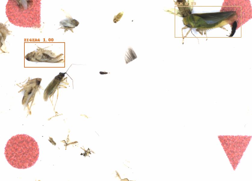 Fullscreen Image