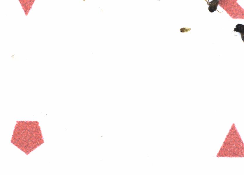 Fullscreen Image
