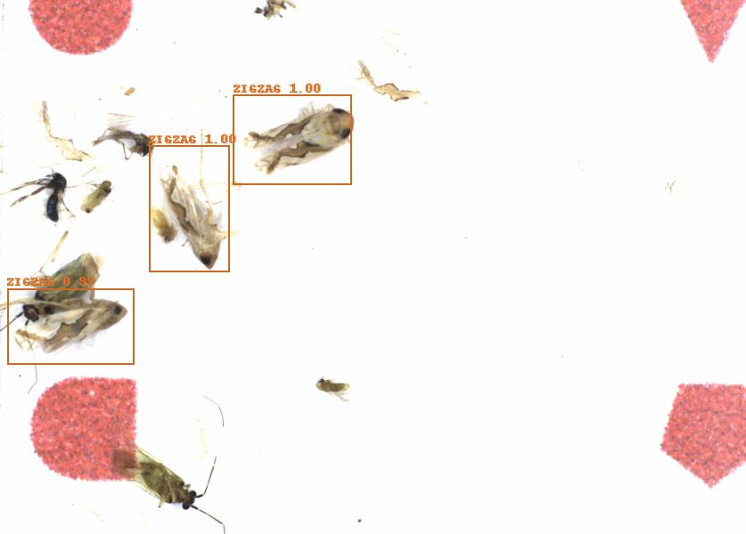 Fullscreen Image
