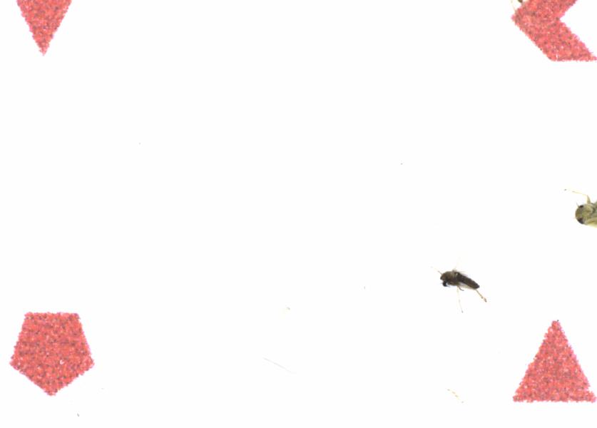 Fullscreen Image