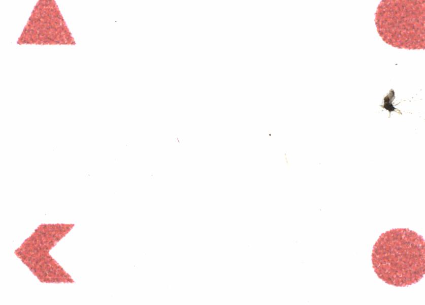 Fullscreen Image