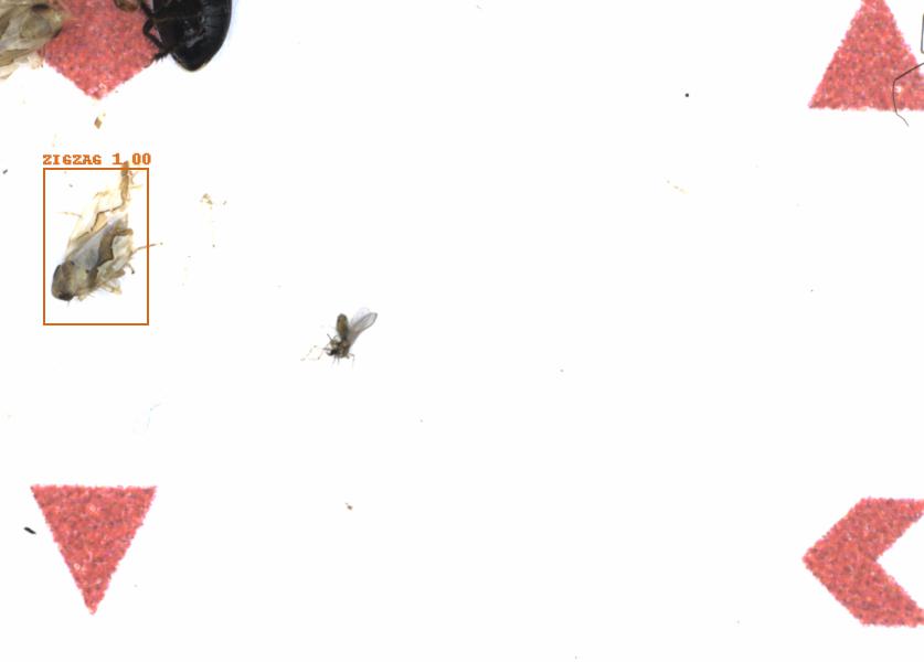 Fullscreen Image