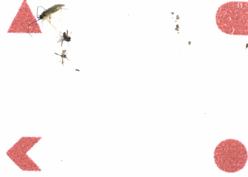 Fullscreen Image