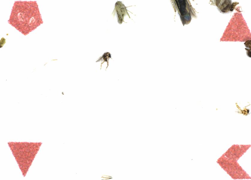 Fullscreen Image