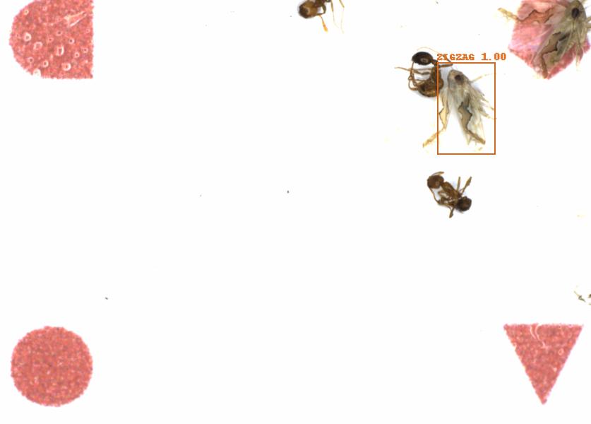 Fullscreen Image