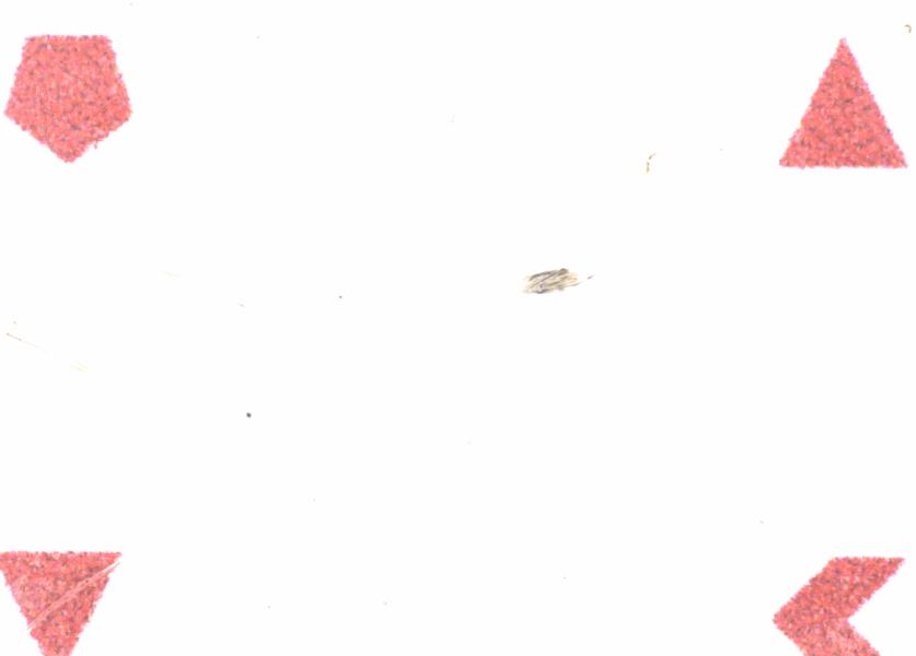 Fullscreen Image