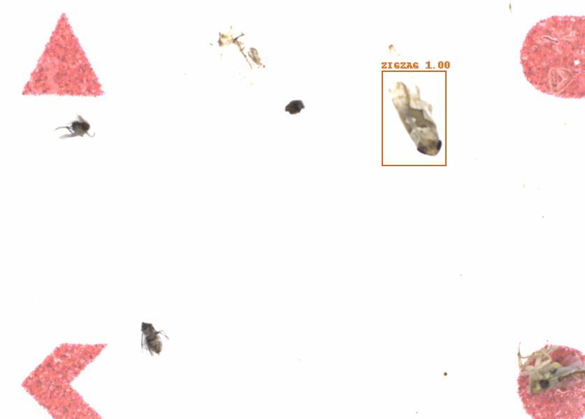 Fullscreen Image