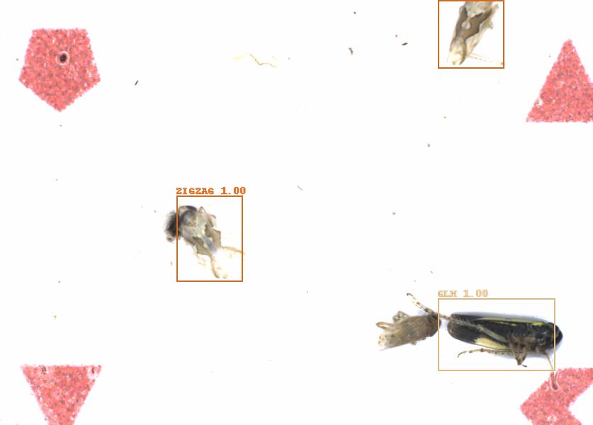 Fullscreen Image