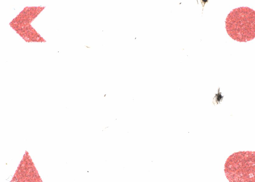 Fullscreen Image