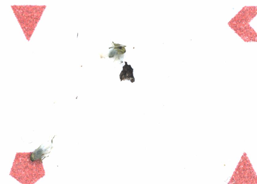 Fullscreen Image