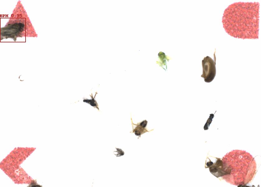 Fullscreen Image