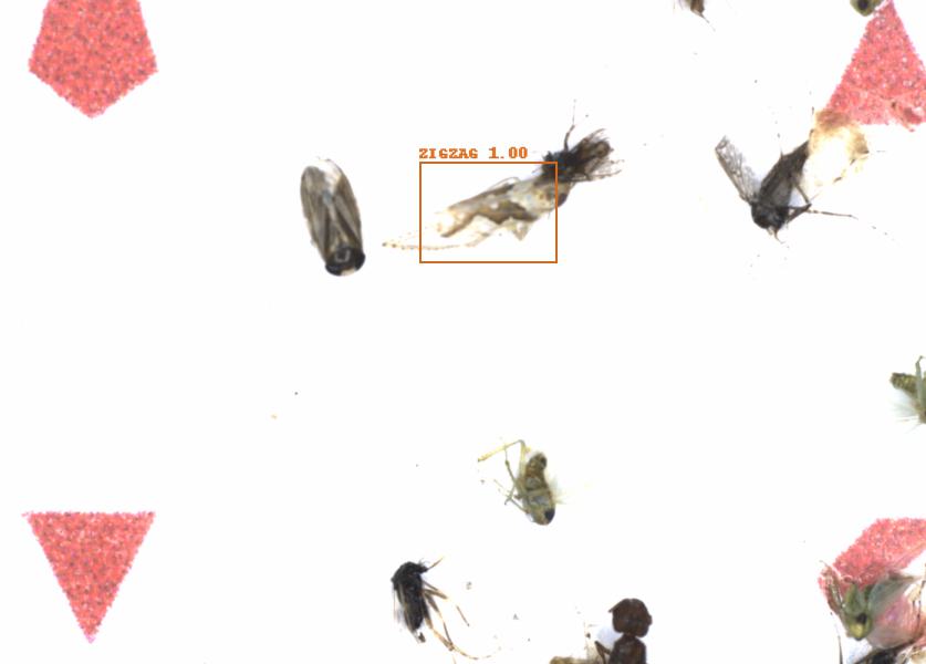 Fullscreen Image