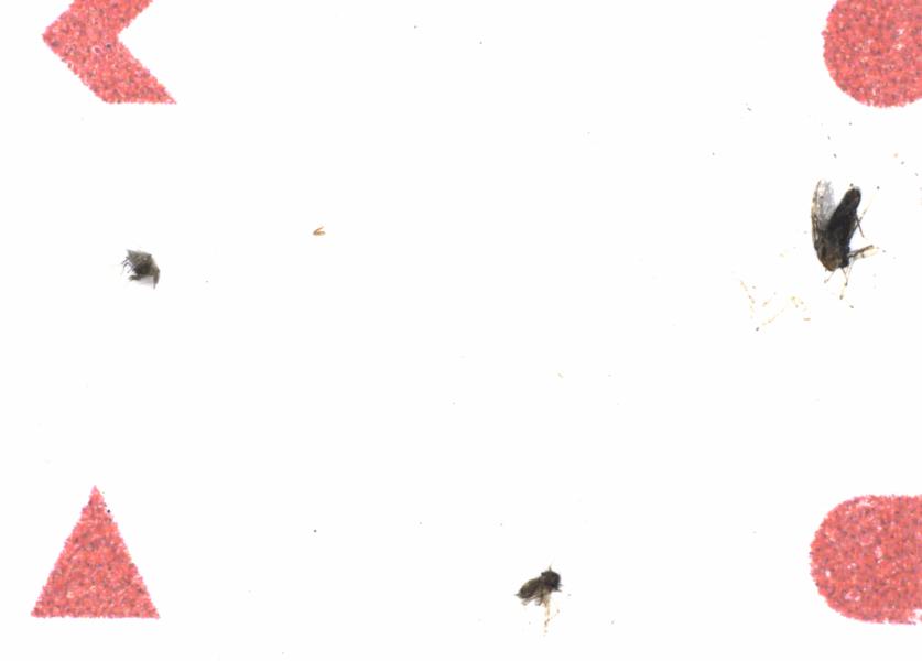 Fullscreen Image