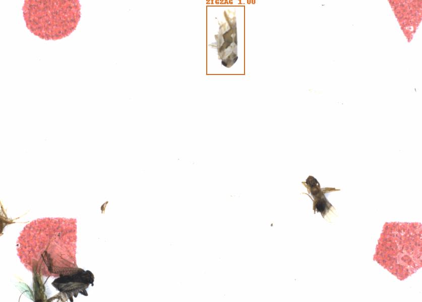 Fullscreen Image