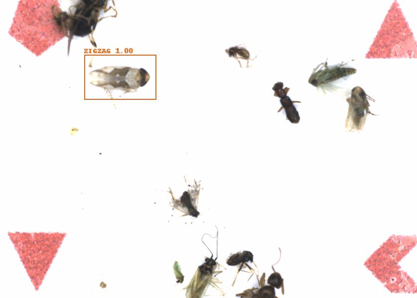 Fullscreen Image