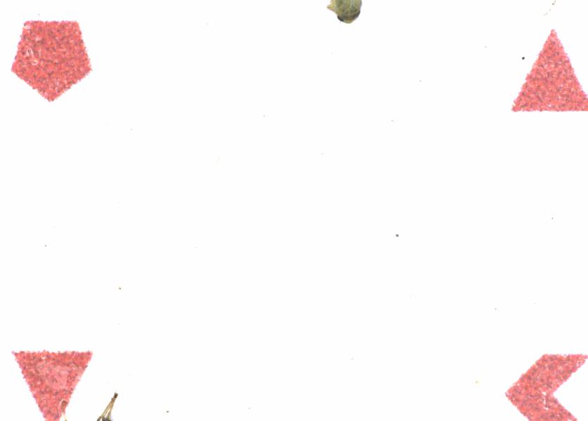 Fullscreen Image