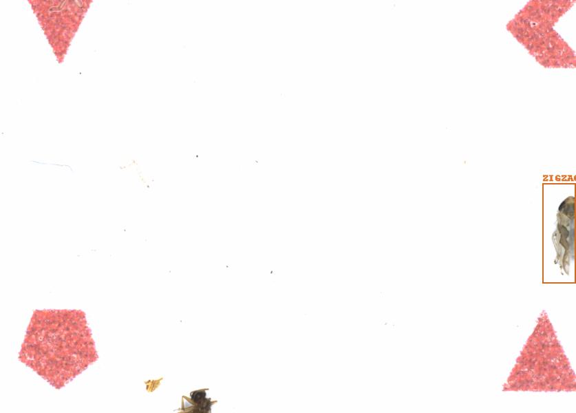Fullscreen Image