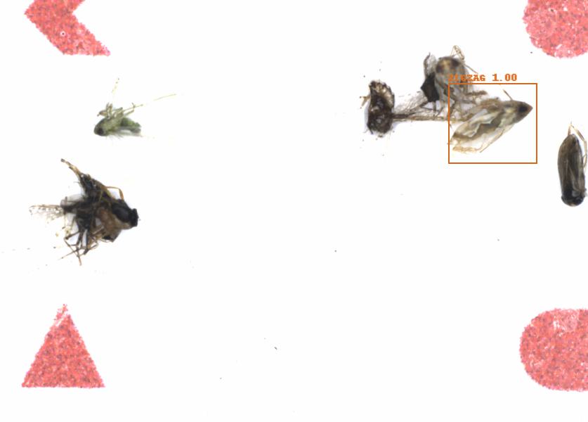 Fullscreen Image
