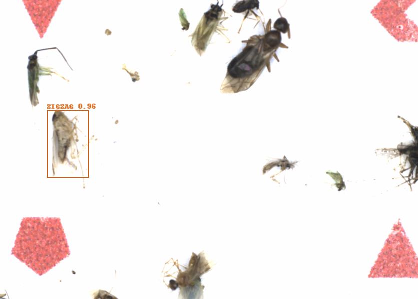 Fullscreen Image