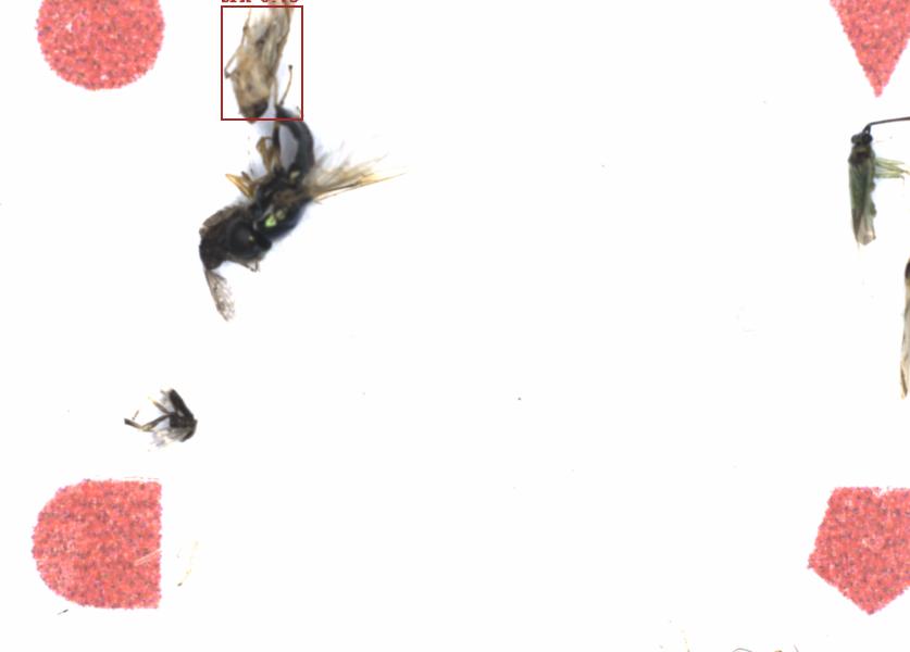 Fullscreen Image
