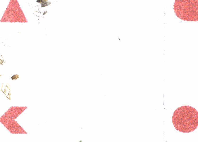 Fullscreen Image