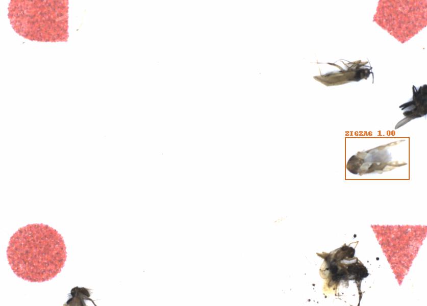 Fullscreen Image