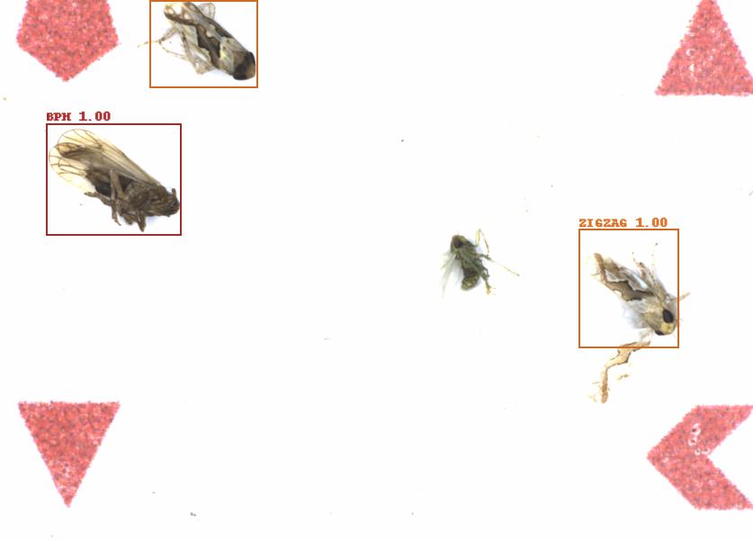 Fullscreen Image