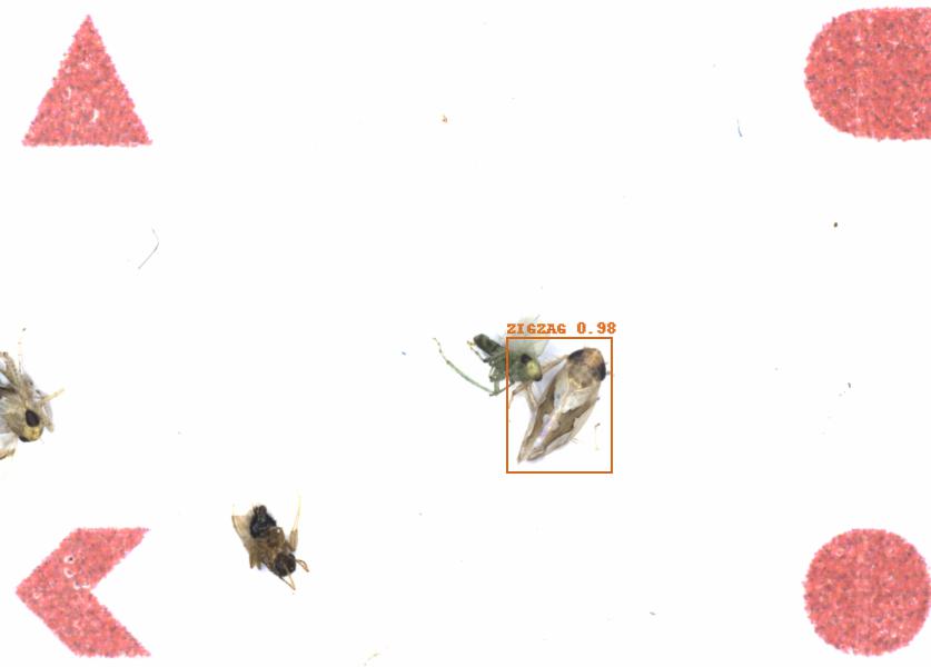 Fullscreen Image
