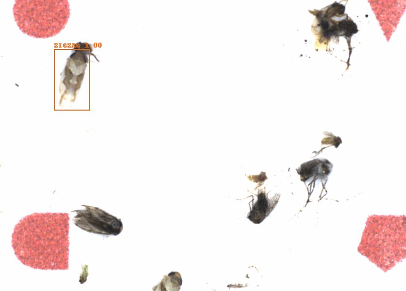 Fullscreen Image