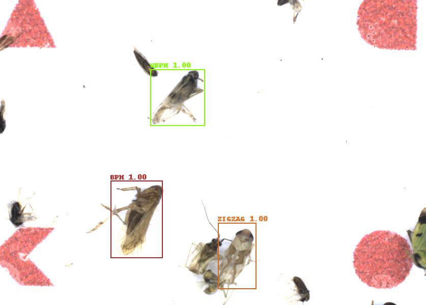 Fullscreen Image