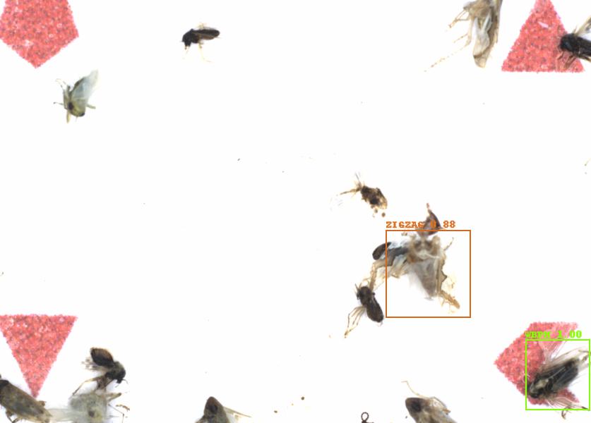 Fullscreen Image
